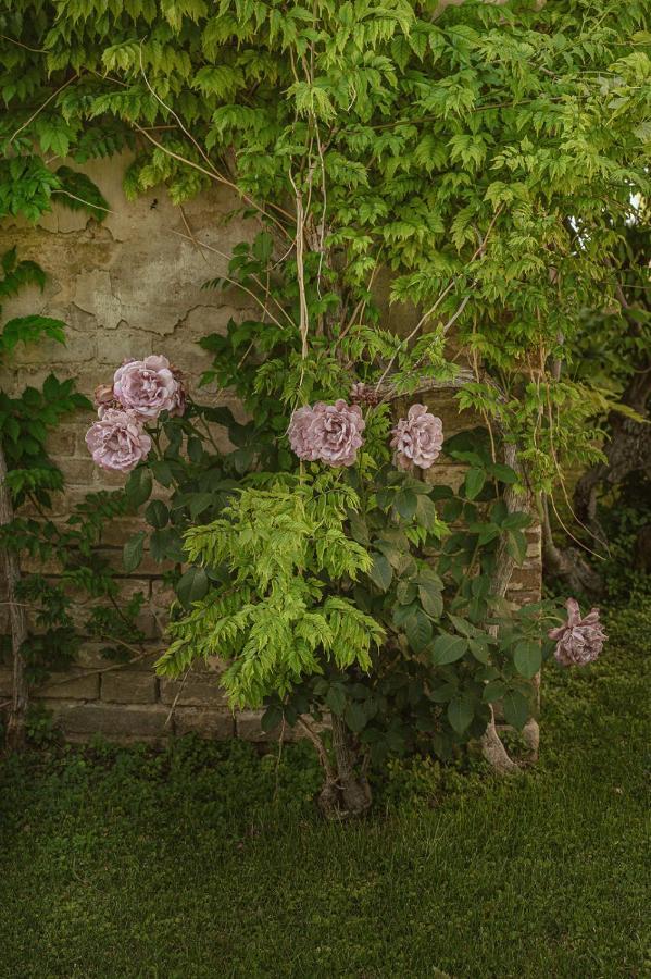 Villa Corallo Sant'Omero Ngoại thất bức ảnh